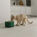 Fonte Purificadora Capri