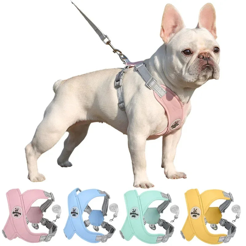 Conjunto de Colete Peitoral X-Comfort - Seu Cão Seguro